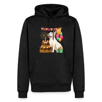 Hunde Geburtstags Party Geschenk Bull Terrier - Männer Premium Bio Hoodie - Schwarz - Vorne - Nico (187cm)