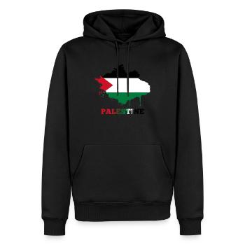 Palestine - Sweat à capuche Premium bio Homme - noir - Devant - Nico (187cm)