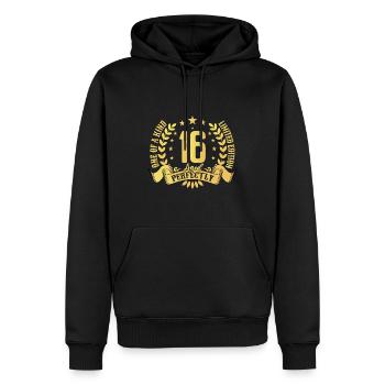 16 Jahre Geburtstagsgeschenk 16 Jahre - Männer Premium Bio Hoodie - Schwarz - Vorne - Nico (187cm)