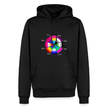 100% OKAY : Fierté et orientation sexuelle - Sweat à capuche Premium bio Homme - noir - Devant - Nico (187cm)