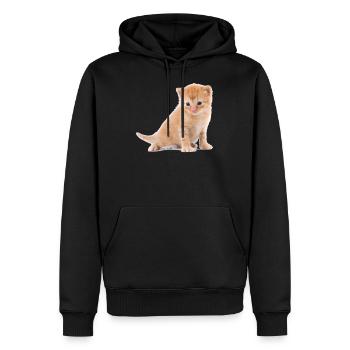 Kätzchen - Männer Premium Bio Hoodie - Schwarz - Vorne - Nico (187cm)