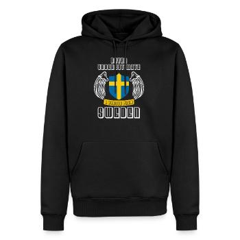 Suède - Sweat à capuche Premium bio Homme - noir - Devant - Nico (187cm)