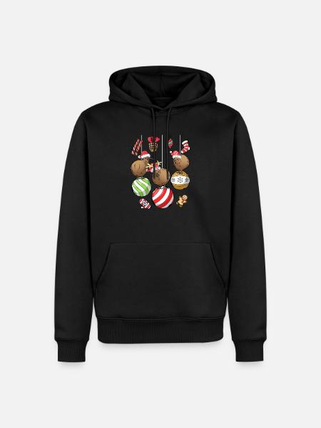 Nieuw-Zeeland kiwi kerstballen vogel - Herre Premium økologisk hoodie - sort