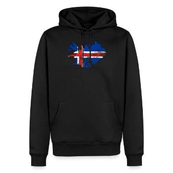 Pavillon d’Islande Grunge - Sweat à capuche Premium bio Homme - noir - Devant - Nico (187cm)