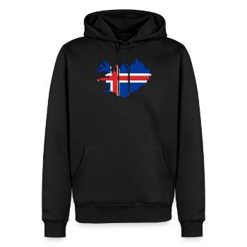 Frontière du drapeau de l’Islande - Sweat à capuche Premium bio Homme - noir - Devant - Nico (187cm)