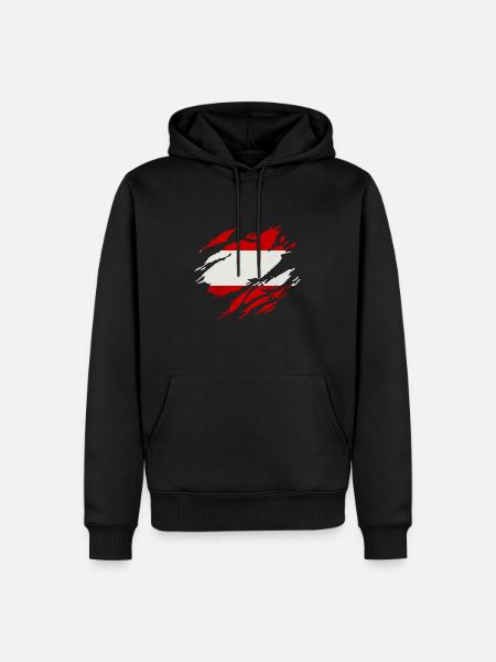 Austria flag gift Austrian - Men’s Premium Organic Hoodie - black