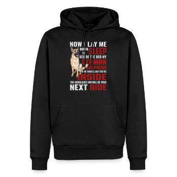 Bergers drôles Proverbes chiens Proverbes - Sweat à capuche Premium bio Homme - noir - Devant - Nico (187cm)