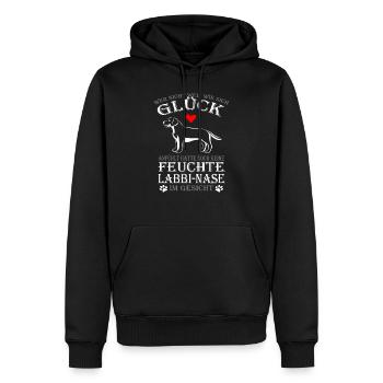 Labrador Hund Hundeliebhaber Hundepapa Gassi gehen - Männer Premium Bio Hoodie - Schwarz - Vorne - Nico (187cm)