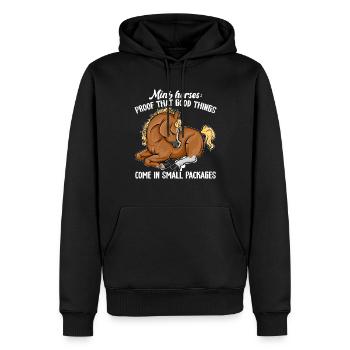 Amateur de chevaux miniatures - Sweat à capuche Premium bio Homme - noir - Devant - Nico (187cm)