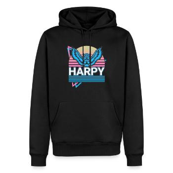 Harpie Mythologie Grecque Cadeau - Sweat à capuche Premium bio Homme - noir - Devant - Nico (187cm)
