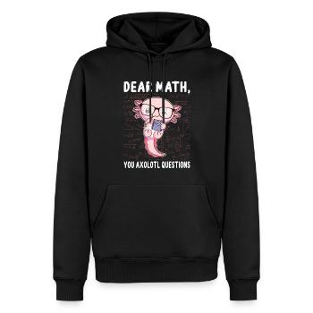 Lustige Mathe Axolotl Mathematik Geschenk - Männer Premium Bio Hoodie - Schwarz - Vorne - Nico (187cm)