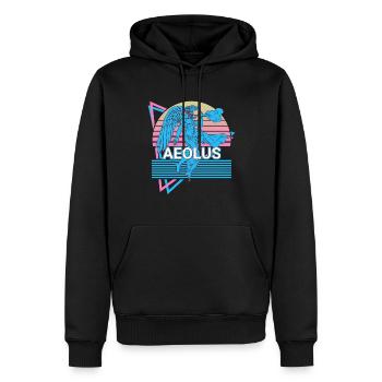 Éole, dieu du vent, mythologie grecque ancienne - Sweat à capuche Premium bio Homme - noir - Devant - Nico (187cm)