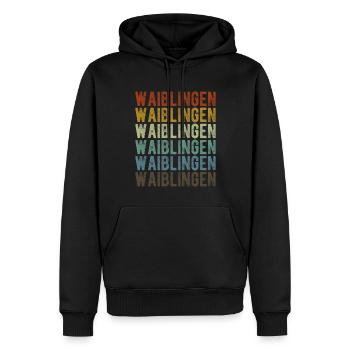 Waiblingen City Retro Vintage - Sweat à capuche Premium bio Homme - noir - Devant - Nico (187cm)