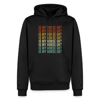 Ist mein Pferd in Ordnung? Pferd Reiter Pferd Reit - Männer Premium Bio Hoodie - Schwarz - Vorne - Nico (187cm)
