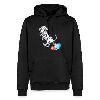 Deutsche Dogge Regenbogenfurz - Männer Premium Bio Hoodie - Schwarz - Vorne - Nico (187cm)