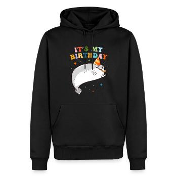 Sacabambaspis Fisch Meme Geburtstagsfeier - Männer Premium Bio Hoodie - Schwarz - Vorne - Nico (187cm)