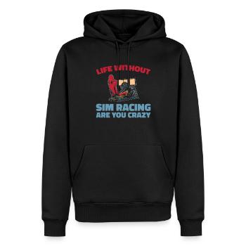 Sim Racing - Männer Premium Bio Hoodie - Schwarz - Vorne - Nico (187cm)