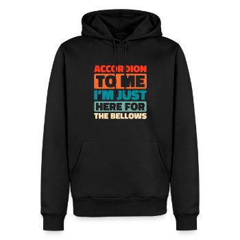 Akkordeon - Männer Premium Bio Hoodie - Schwarz - Vorne - Nico (187cm)