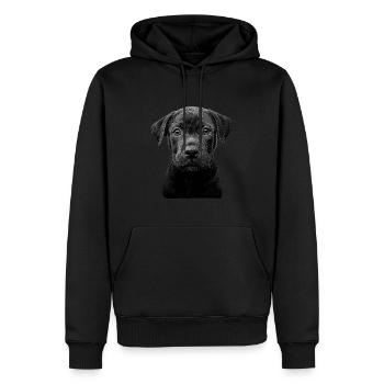 Cane Corso - Männer Premium Bio Hoodie - Schwarz - Vorne - Nico (187cm)
