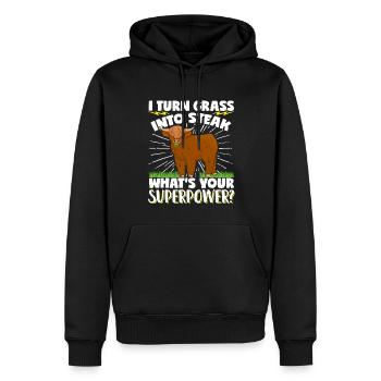 Vache bovine écossaise des Highlands - Sweat à capuche Premium bio Homme - noir - Devant - Nico (187cm)