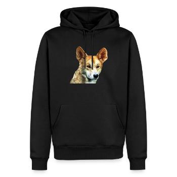 Dingo - Men’s Premium Organic Hoodie - black - Front - Nico (187cm)
