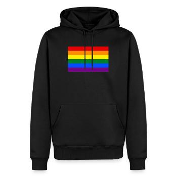 Drapeau de la fierté LGBTQ - Sweat à capuche Premium bio Homme - noir - Devant - Nico (187cm)