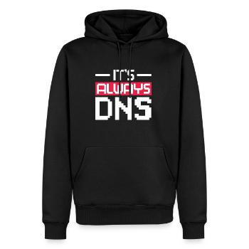 C’est toujours l’administrateur réseau DNS - Sweat à capuche Premium bio Homme - noir - Devant - Nico (187cm)