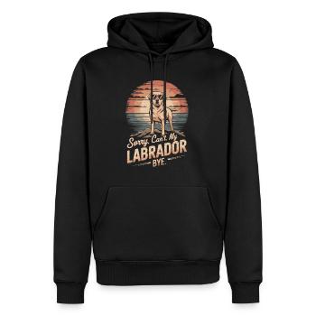 Labrador mit Sonnenbrille vintage Spruch - Männer Premium Bio Hoodie - Schwarz - Vorne - Nico (187cm)