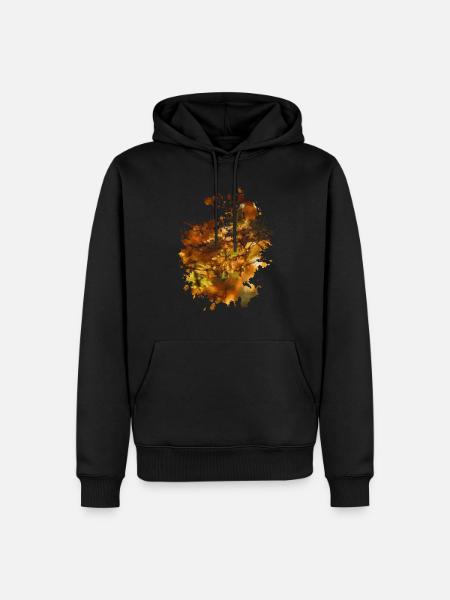 Herbst - Männer Premium Bio Hoodie - Schwarz