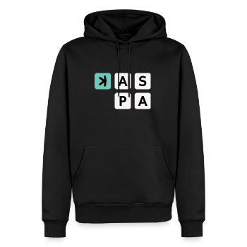 KAS Kaspa Cube Cube Qubic Crypto - Men’s Premium Organic Hoodie - black - Front - Nico (187cm)