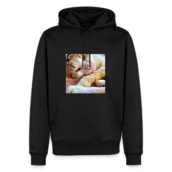Gros plan d’un chat domestique plus âgé couché et se reposant - Sweat à capuche Premium bio Homme - noir - Devant - Nico (187cm)
