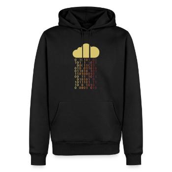 Cloud Bit Informatiker Admin IT-Betrieb - Männer Premium Bio Hoodie - Schwarz - Vorne - Nico (187cm)