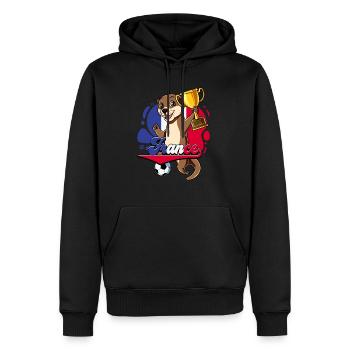 Frankreich Fußball - Männer Premium Bio Hoodie - Schwarz - Vorne - Nico (187cm)