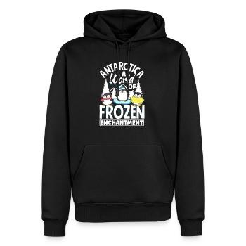 Antarctica a world of frozen enchantment - Männer Premium Bio Hoodie - Schwarz - Vorne - Nico (187cm)