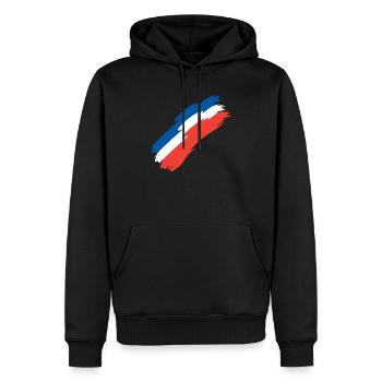 Drapeau drapeau de la France - Sweat à capuche Premium bio Homme - noir - Devant - Nico (187cm)