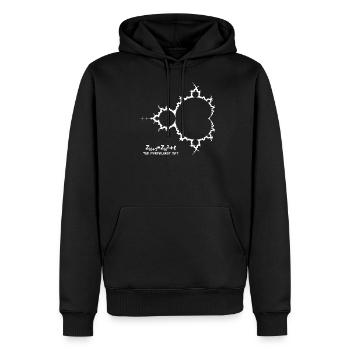 Fraktal Mandelbrot Pomme mâles Formule Mathe - Sweat à capuche Premium bio Homme - noir - Devant - Nico (187cm)