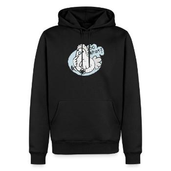so what ? - Männer Premium Bio Hoodie - Schwarz - Vorne - Nico (187cm)