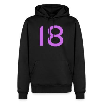 18 - Men’s Premium Organic Hoodie - black - Front - Nico (187cm)