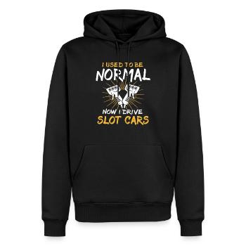 Slot Racing Slot Car - Männer Premium Bio Hoodie - Schwarz - Vorne - Nico (187cm)