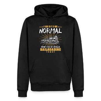 Gartenbahn Spur G Modelleisenbahn - Männer Premium Bio Hoodie - Schwarz - Vorne - Nico (187cm)