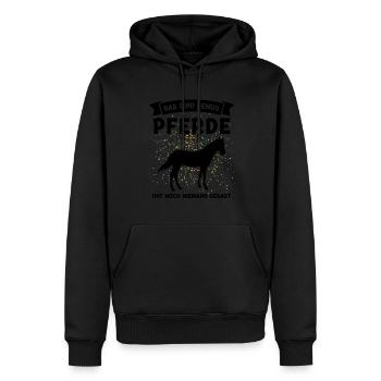 Reiten Pferd Reiter Geschenk - Männer Premium Bio Hoodie - Schwarz - Vorne - Nico (187cm)