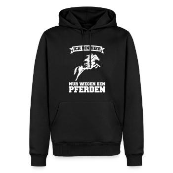 Reiten Pferd Pferde Geschenk - Männer Premium Bio Hoodie - Schwarz - Vorne - Nico (187cm)