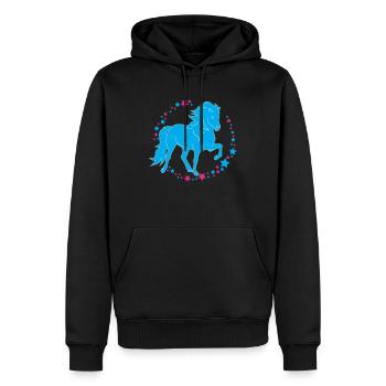Tölter Sterne - Männer Premium Bio Hoodie - Schwarz - Vorne - Nico (187cm)