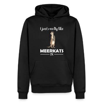 Meerkat Lover Funny Saying Gift - Men’s Premium Organic Hoodie - black - Front - Nico (187cm)