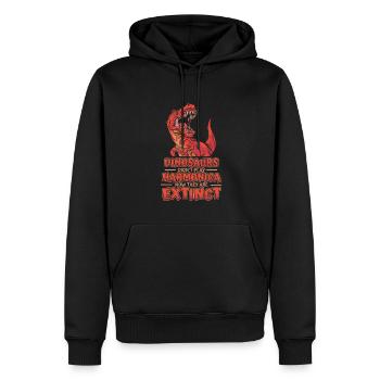 Dinosaurs Didn't Play Harmonica Mouth Harp - Men’s Premium Organic Hoodie - black - Front - Nico (187cm)