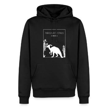 Parasaurolophus Chinois Hanzi Amoureux des dinosaures - Sweat à capuche Premium bio Homme - noir - Devant - Nico (187cm)