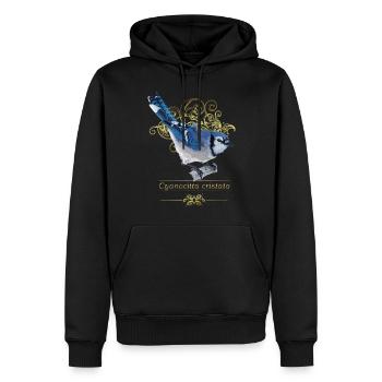 Blaue Chara - Männer Premium Bio Hoodie - Schwarz - Vorne - Nico (187cm)