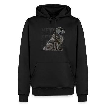 Terre-Neuvien - Sweat à capuche Premium bio Homme - noir - Devant - Nico (187cm)