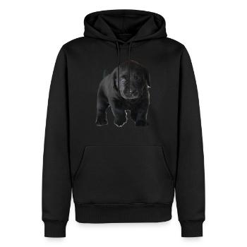 Foto 1618694316942 - Männer Premium Bio Hoodie - Schwarz - Vorne - Nico (187cm)