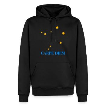 Carpe Diem used the day constellation Libra Libra Ode - Men’s Premium Organic Hoodie - black - Front - Nico (187cm)